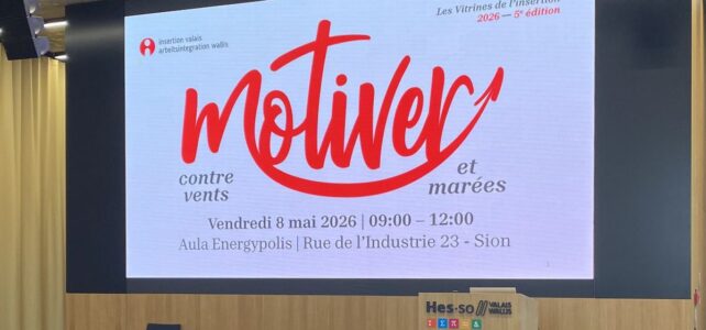 Retour sur la 5e édition des Vitrines de l’insertion Retour sur la 5e édition des Vitrines de l’insertion